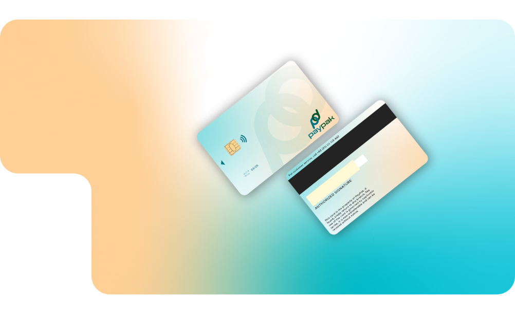 International Payment Schemes (IPS)
